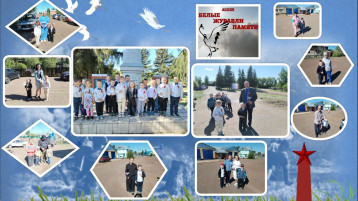 Акция " Белые журавли" Акция " Белые журавли".